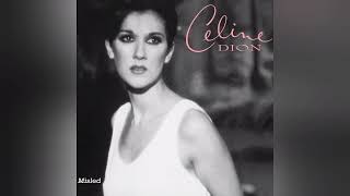 Celine Dion  Misled Richie Jones Remix M4A [upl. by Anirol]