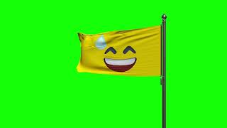 Grinning Face with Sweat Emoji Waving Flag Green Screen Background  4K  FREE TO USE [upl. by Viglione]