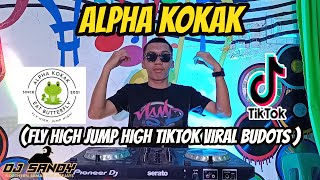 ALPHA KOKAK TikTok Viral Budots Fly High Jump High  Dj Sandy Remix [upl. by Melan823]