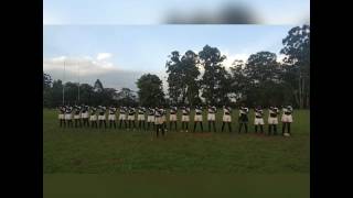 Highlights of Nairobi School Patch vs Lenana School Mean Maroon  Prescott Cup 2017 [upl. by Mchenry444]