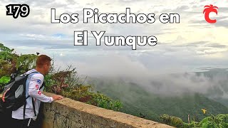 La subida hasta el mirador de Los Picachos en El Yunque [upl. by Aziram975]