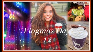 Vlogmas Day 12  Stockeld Park Christmas Light Trail  Festive walk maize amp Jelly Cats 2023 [upl. by Kalmick]