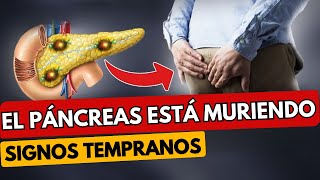 ¡Tu cuerpo grita sobre problemas pancreáticos Los primeros signos de la enfermedad pancreática [upl. by Koo]