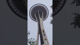 GIANT PLANT BY THE SPACE NEEDLE washington washingtonstate spaceneedle [upl. by Viveca]