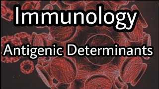 ANTIGENIC DETERMINANTS How Your Immune System Knows Whos Boss [upl. by Olrak]