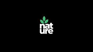 Custom Logo Animation in After Effects  Nature Leaf Animation  After Effects Tutorial [upl. by Inafetse536]