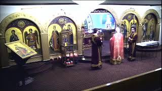 5th Sunday of Luke Divine Liturgy 110324 Assumption Greek Orthodox Church Chicago [upl. by Welford]