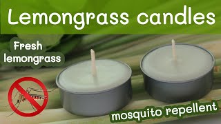 Lemongrass Candle Mosquito Repellent  How To Make A Scented Candle With Fresh Lemongrass [upl. by Virgy]