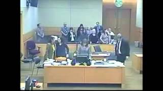 Jodi Arias Penalty Retrial  Day 31  Dr Janeen DeMarte Cross [upl. by Ietta]