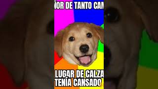 Calzado Chistes de Caniche Vrolet perros uruguay humor memes chistesdecanichevrolet calzaso [upl. by Morgana]