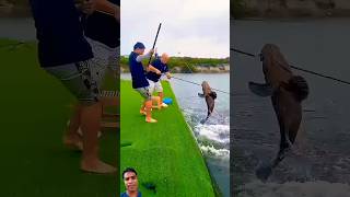 Village Traditional Bamboo Tools Polo Fishing Video Part300 fishingshorts​ fishing​ shorts [upl. by Navetse]