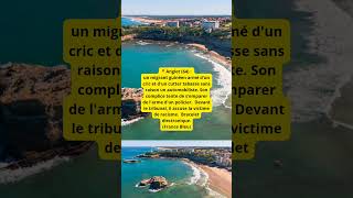 📍Anglet 64  un migrant guinéen armé dun cric et dun cutter tabasse sans raison un automobiliste [upl. by Behre]