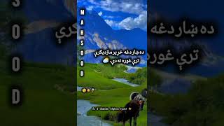 Munair Bunari poetry ❤ sad follow4followforyoupage everyonefollowers everyonecan ❤ [upl. by Lowrance]