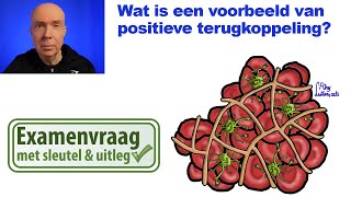 Wat is een voorbeeld van positieve terugkoppeling [upl. by Ynnot]