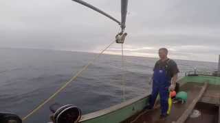 Craig Leith Catching Blue Cod [upl. by Davie]