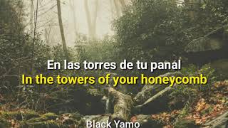 Bon Iver  Towers LyricsSubEsp [upl. by Oilcareh307]