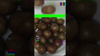 Macadamia Nuts😋 Please subscribe My Channel🥰youtubeshorts food [upl. by Einnahpets]