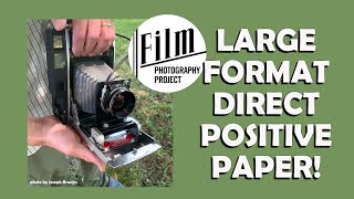 Large Format 4x5 and 8x10 Direct Positive Paper [upl. by Lavena]