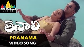 Thenali Songs  Pranama Video Song  Kamal Haasan Jyothika Meena  Sri Balaji Video [upl. by Beedon500]