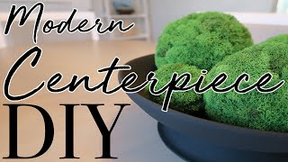 DIY Modern Centerpiece [upl. by Hermann]