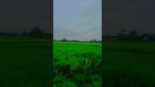 foryou bangladesh bancharampur [upl. by Josephina340]