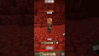 Villager has a premiumvip pass 💀🙏 Credits RajneshPlaysOfficial shorts minecraft glitch lag [upl. by Sofer]