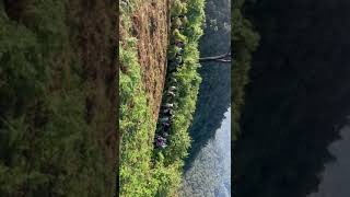 trucking munnar [upl. by Light]