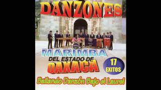 Marimba Del Estado De Oaxaca  Danzones Disco Completo [upl. by Kra610]