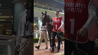 Emirates Super Saturday  March 2 [upl. by Shutz]