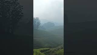 Munnar Kerala kerala munnar munnarteagarden tourism arijitsingh music song [upl. by Burra]