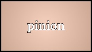 Pinion Meaning [upl. by Aredna708]