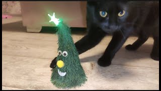 A cat and a dancing Christmas tree blackcat cat cuteanimals favoritecat catlover respect [upl. by Wyly278]