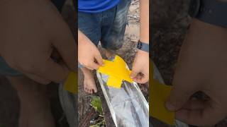 Survival Skills SMART idea and ISEFUL in forest camping outdoors bushcraft survival [upl. by Woodsum]