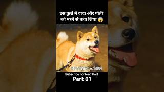 A Tale Of Mari And Three Puppies Part 1 😱  short shorts dog movieexplainedinhindi [upl. by Jala]