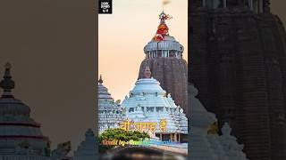 jagannath mandir ka rahasya shorts jaganatha jaganathtemple podcast kalkiavataar kalki facts [upl. by Kreitman381]