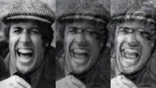 ADRIANO CELENTANO  Foglie Verdi amp Cielo Blu  MILO MANARA  Risata  Morphing  WIDE MEME [upl. by Adnahcir]