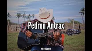 Miguel Cuevas  Pedron Antrax En Vivo [upl. by Shanon]