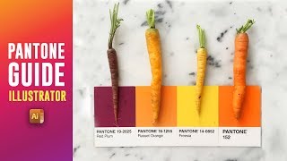 ILLUSTRATOR PANTONE COLOUR TUTORIAL GUIDE  Satori Graphics [upl. by Forester]