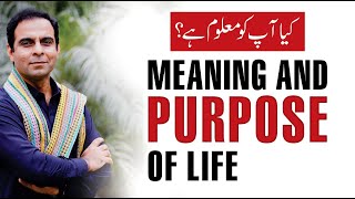 What is Important in Your Life Live with Qasim Ali Shah [upl. by Emmett729]