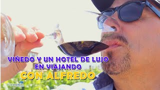 VIÑEDO Y UN HOTEL DE LUJO EN VIAJANDO CON ALFREDO  ENSENADA BAJA CALIFORNIA [upl. by Atinra759]