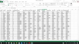 Create a Codebook in SPSS from a PDF File [upl. by Ynnav]