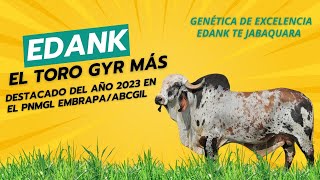 EL TORO GYR MÁS DESTACADO DEL AÑO 2023 EN EL PNMGL EMBRAPAABCGIL [upl. by Ilbert930]