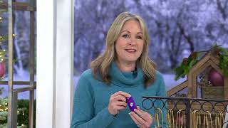 Birdie Set of 2 Personal Safety Alarms on QVC [upl. by Chard725]