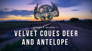 Season 7 Episode 11 Velvet Coues Deer and Antelope [upl. by Retluoc]