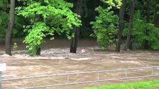 Hochwasser der Zwönitz Juni 2013 in ChemnitzErfenschlag [upl. by Evans806]