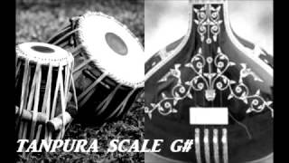 TANPURA SCALE G  scale G sharp [upl. by Norwood]