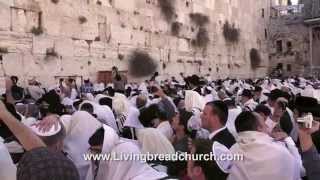 Priestly Blessing Passover Jerusalem [upl. by Missi]