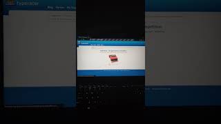 Typeracer Python Bot [upl. by Hashim146]