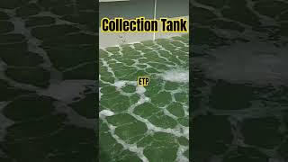 etp collection tank aeration Effulent Treatment Plant short [upl. by Aliekat825]