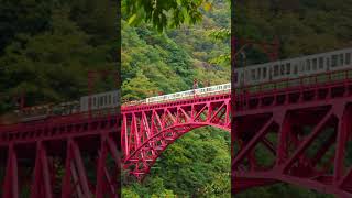 Kurobe Gorge RailwayJapan travel shortvideojapan railway [upl. by Anirehtak]